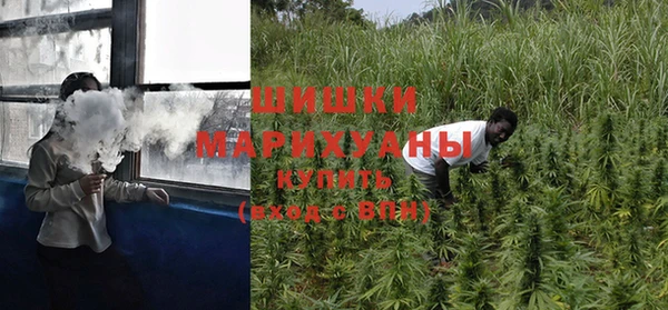 мдма Новозыбков