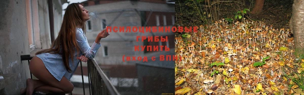 марки lsd Новокубанск
