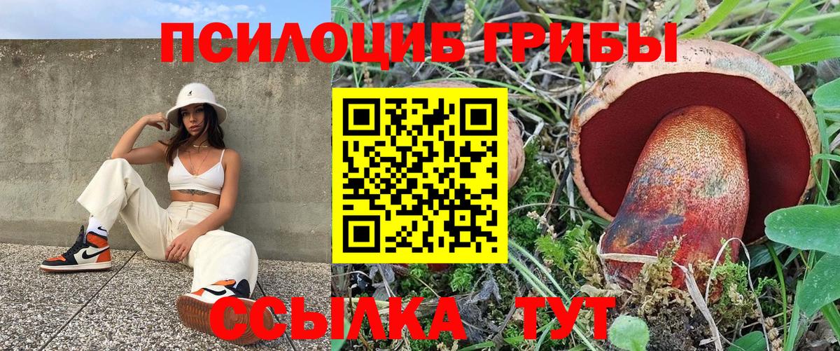 Галлюциногенные грибы мицелий Коломна
