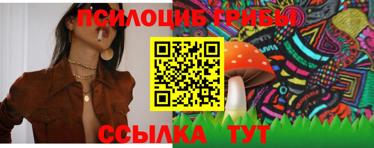 Псилоцибиновые грибы Psilocybine cubensis  Вход с VPN  Коломна 